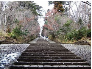 仙台市・大年寺山（おおとしやま）